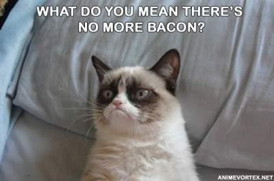 Bacon.jpg (61.67 KiB) Viewed 2644 times Bacon.jpg