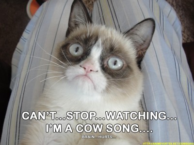 CowSong.jpg